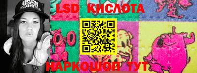 PSILOCYBIN Донской